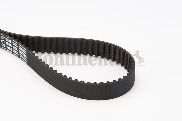 Timing Belt